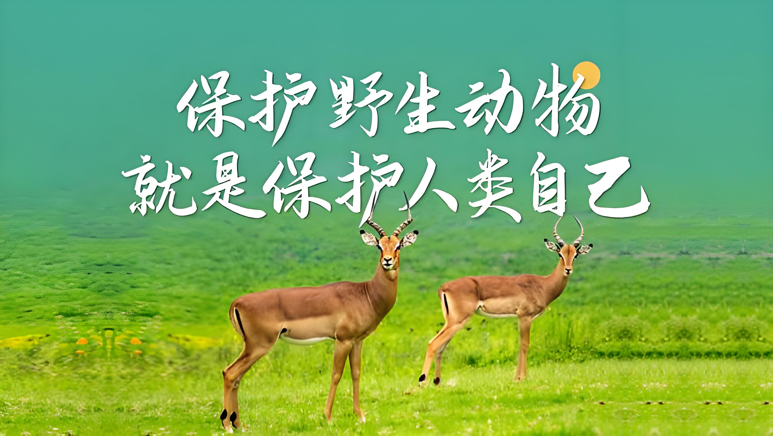 保护野生动物