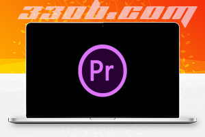 premiere pro - 330B模板网