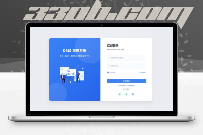 迅风DNS二级域名分发系统V3.1.3系统源码-330B模板网